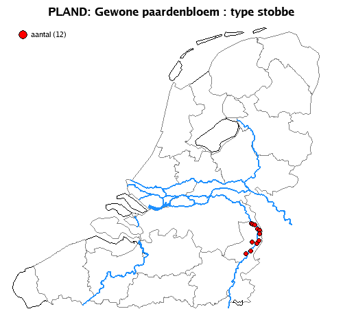stobbe
